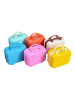 Vanity de voyage rigide pour femme avec poignée et sangle trolley en couleurs vibrantes et design contemporain