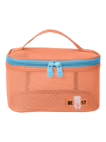 Vanity toilette maquillage en maille semi transparent pour femme organisateur de maquillage rose pêche avec poignée zipper Vanity toilette maquillage en maille semi transparent pour femme organisateur de maquillage rose pêche avec poignée zipper